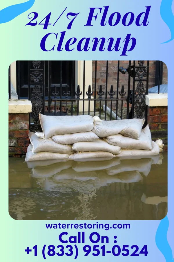 24/7 Flood Cleanup in Elysian, MN